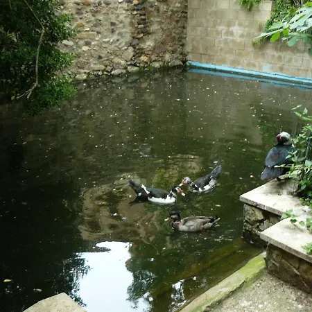 Torre De Campos منزل ريفي