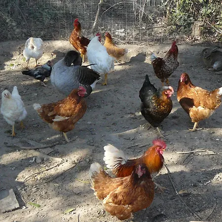 Torre De Campos منزل ريفي *