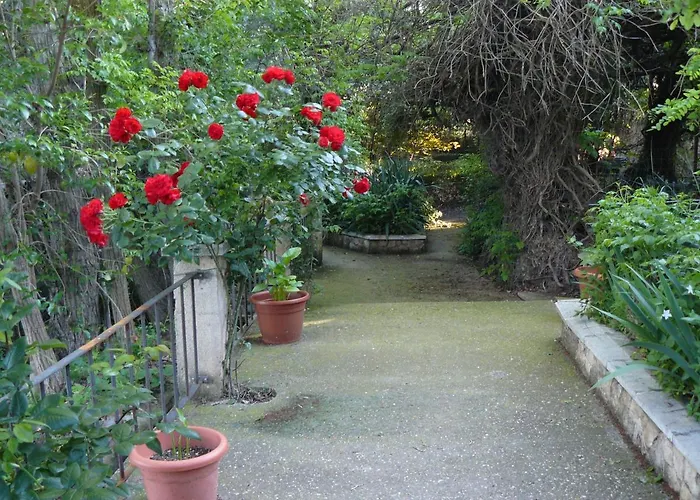 Torre De Campos Country house Ainzon