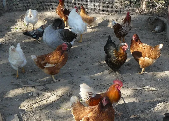 Torre De Campos Country house *