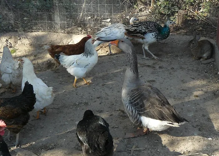 Country house Torre De Campos Ainzon